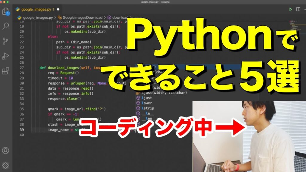 python-python
