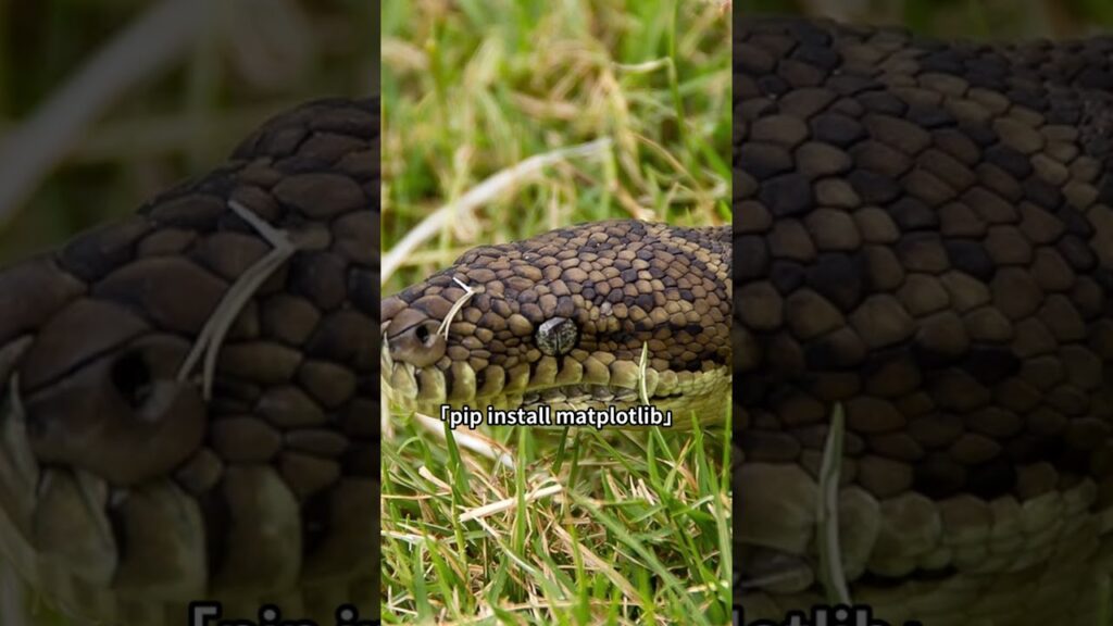 Pygameでテトリス風の落ちゲーをPython入門しながら作るチュートリアル | Pythonちゃん