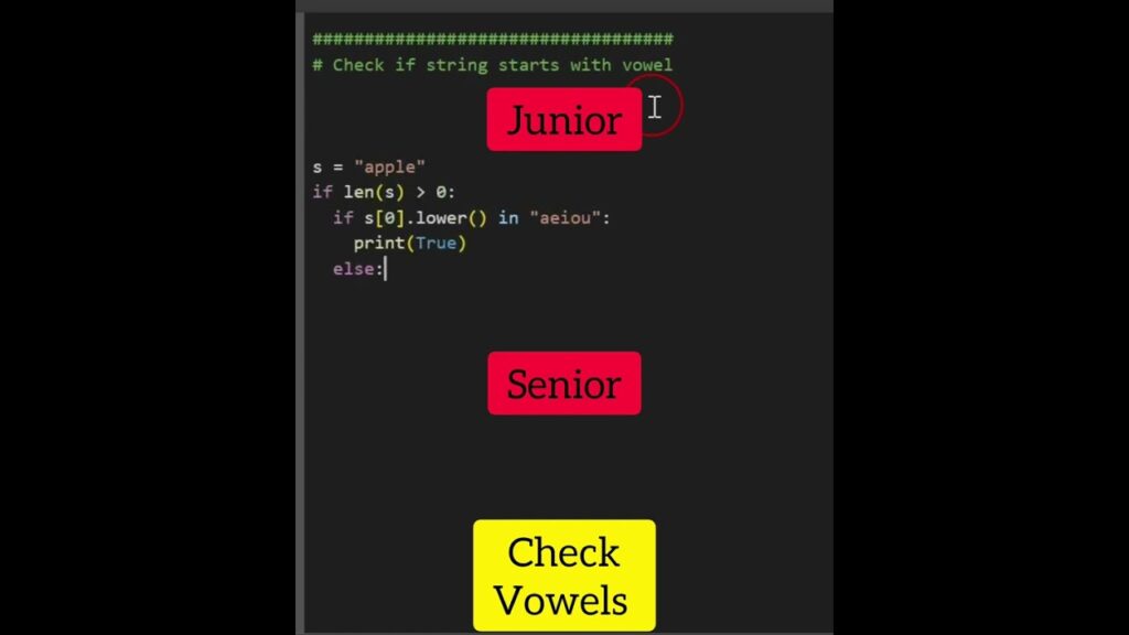 Junior Vs. Senior Python Developer #shorts #python #programming #coding ...